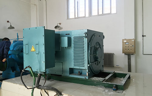 Y5601-4某水电站工程主水泵使用我公司高压电机