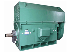 Y5601-4YKK系列高压电机